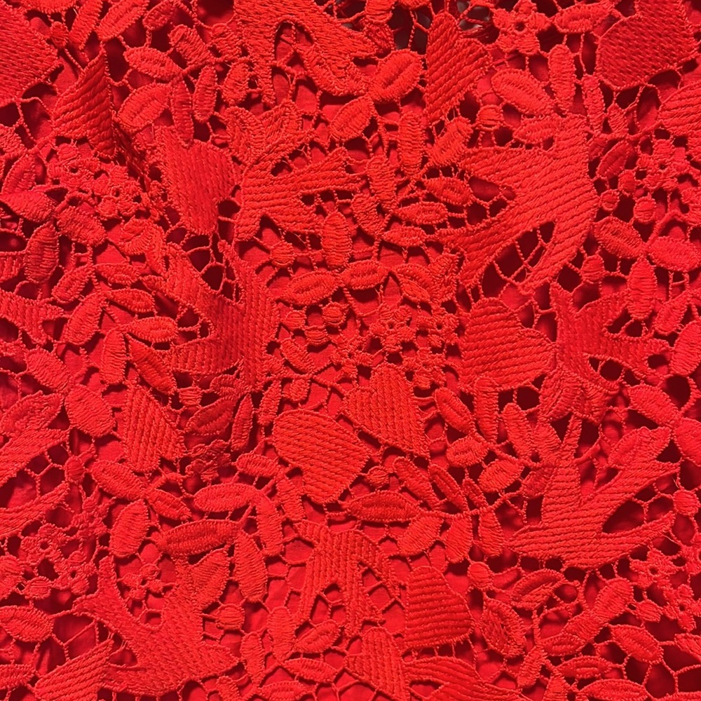 BODEN Red Heart Dove Brittany Lace Top Blouse, Red, Size 4 - Picture 6 of 12